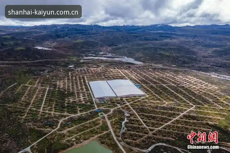 揭秘KAIYUN体育平台：中国官方站安卓下载背后的“山海”图景